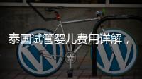 泰國(guó)試管嬰兒費(fèi)用詳解，試管嬰兒成功率高的醫(yī)院推薦