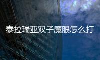 泰拉瑞亞雙子魔眼怎么打新手（泰拉瑞亞雙子魔眼怎么打）