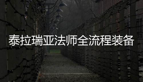 泰拉瑞亞法師全流程裝備介紹