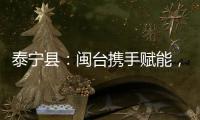 泰寧縣：閩臺攜手賦能，繪就鄉建鄉創新圖景