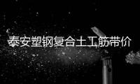 泰安塑鋼復(fù)合土工筋帶價(jià)格