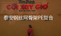 泰安鋼絲網(wǎng)骨架PE復(fù)合管