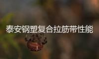 泰安鋼塑復(fù)合拉筋帶性能說(shuō)明