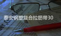 泰安鋼塑復合拉筋帶30020B指標