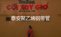 泰安聚乙烯鋼帶管