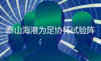 泰山海港為足協杯試驗陣容 一場絕平誰建立了心理優勢？