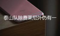 泰山隊除費萊尼外仍有一批老將要續約 王大雷蒿俊閔在列
