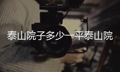 泰山院子多少一平泰山院子