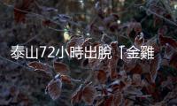 泰山72小時出脫「金雞母」全家86%股票，大股東龍邦怒提告：損害股東權益