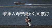 泰康人壽寧夏分公司被罰10萬