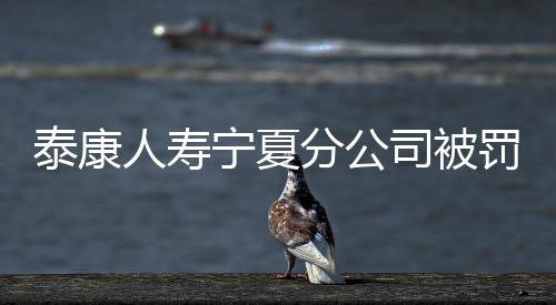 泰康人壽寧夏分公司被罰10萬