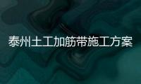 泰州土工加筋帶施工方案