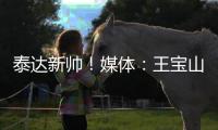 泰達新帥！媒體：王寶山已經開始帶隊訓練