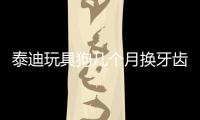 泰迪玩具狗幾個月換牙齒？泰迪玩具狗幾個月換牙一次