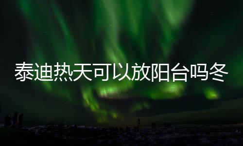 泰迪熱天可以放陽(yáng)臺(tái)嗎冬天(泰迪犬夏天可以吹空調(diào)嗎)