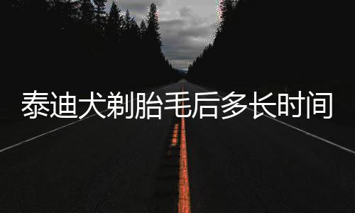 泰迪犬剃胎毛后多長(zhǎng)時(shí)間能長(zhǎng)好(小泰迪多長(zhǎng)時(shí)間剃胎毛)