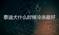 泰迪犬什么時(shí)候冷凍最好？泰迪幾度會(huì)冷