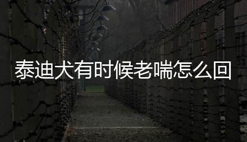 泰迪犬有時候老喘怎么回事呢吃什么藥？泰迪狗狗有時會不停喘