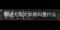 泰迪犬母犬半夜叫是什么原因呢？泰迪犬母犬半夜叫是什么原因引起的