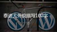 泰迪犬外貌描寫100字，泰迪犬外貌描寫說明文