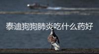 泰迪狗狗肺炎吃什么藥好？泰迪狗狗肺炎吃什么藥最好