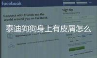 泰迪狗狗身上有皮屑怎么辦(泰迪狗狗吐黃水帶泡沫是怎么回事)