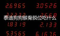 泰迪狗狗髕骨脫位吃什么藥好(泰迪狗髕骨脫位吃什么藥好)