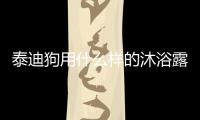 泰迪狗用什么樣的沐浴露好呢？泰迪狗用什么樣的沐浴露好用