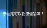 泰迪狗可以物流運輸嗎？泰迪可以快遞嗎?