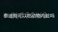 泰迪狗可以吃動物內臟嗎(泰迪狗能不能吃杏)