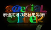 泰迪狗可以吃絲瓜嗎(泰迪狗可以吃什么食物)