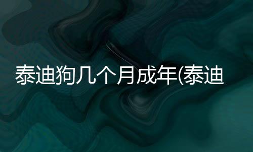 泰迪狗幾個月成年(泰迪幾個月算成年)