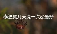泰迪狗幾天洗一次澡最好(泰迪狗幾歲開始吃老年狗糧)
