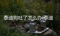 泰迪狗吐了怎么辦(泰迪狗吐黃水帶沫應該給吃點什么)