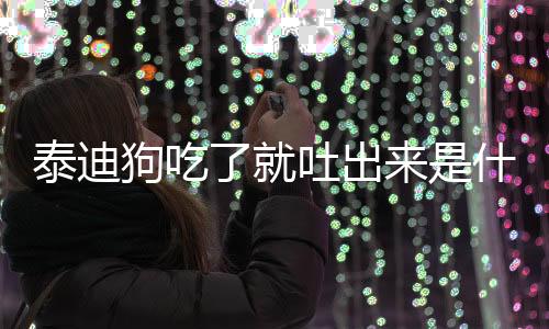 泰迪狗吃了就吐出來是什么原因(泰迪狗吃東西就吐是怎么回事)