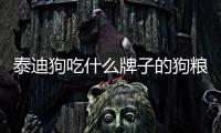 泰迪狗吃什么牌子的狗糧最好(泰迪吃狗糧一次吃多少)