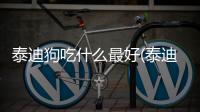 泰迪狗吃什么最好(泰迪狗吃什么可以長胖)