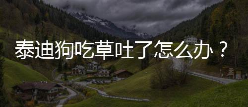 泰迪狗吃草吐了怎么辦？泰迪狗吃草吐了有事嗎