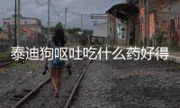 泰迪狗嘔吐吃什么藥好得快(泰迪嘔吐吃什么藥最好)