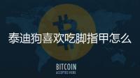 泰迪狗喜歡吃腳指甲怎么辦啊？泰迪狗喜歡吃腳指甲怎么辦呀