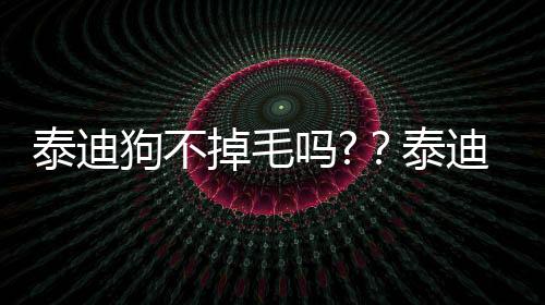 泰迪狗不掉毛嗎?？泰迪不脫毛嗎