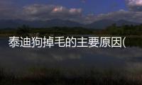 泰迪狗掉毛的主要原因(面部皮膚過敏的主要原因)