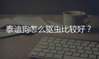 泰迪狗怎么驅蟲比較好？泰迪狗怎么驅蟲用什么藥