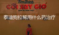 泰迪狗拉稀用什么藥治療最好(泰迪狗老是吐是什么原因)