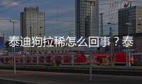 泰迪狗拉稀怎么回事？泰迪狗拉稀怎么回事可以吃雞蛋黃嗎