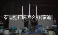 泰迪狗打嗝怎么辦(泰迪狗打完針有什么反應(yīng))