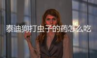 泰迪狗打蟲子的藥怎么吃的？泰迪狗打蟲子的藥怎么吃好