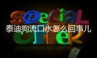 泰迪狗流口水怎么回事兒？泰迪狗流口水怎么回事吃什么藥
