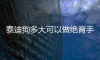 泰迪狗多大可以做絕育手術(shù)