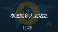 泰迪狗多大會站立